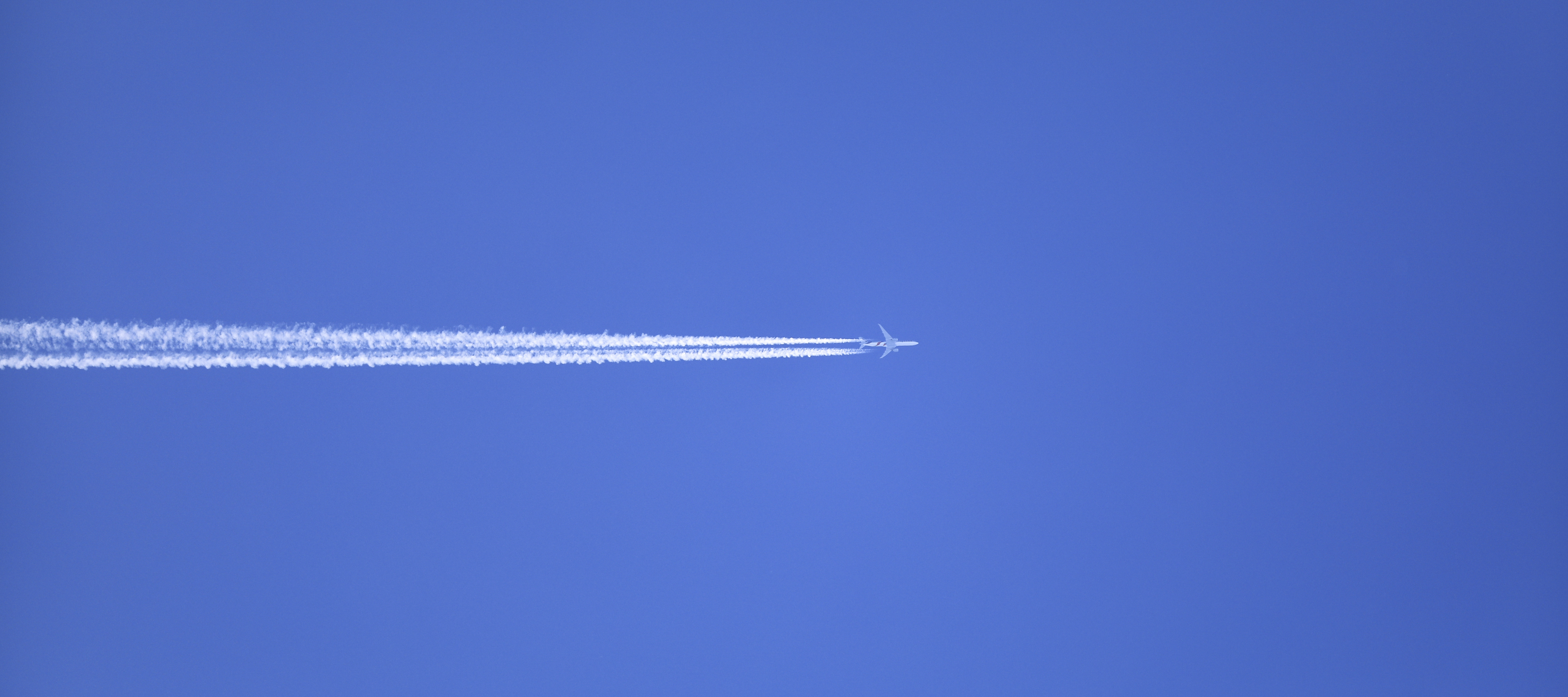 Flight to digital II: Early arrival